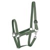 Harry&#039;s Horse halster Economy groen