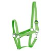 Harry&#039;s Horse halster Economy lime