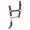 Imperial Riding Hobby Horse Halster Free Spirit
