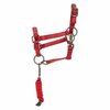 Imperial Riding Hobby Horse Halster Free Spirit
