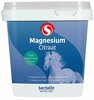 Sectolin Magnesium Citraat 1 kg