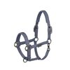 Eskadron Halster Sparkle Double Pin Platinum 26