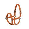 Eskadron Halster Faux Leather Jewel Double Pin Platinum 26