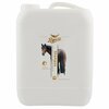 Rapide Shine Shampoo 5 Liter