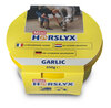 Horslyx Knoflook