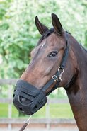 Harry&#039;s Horse graasmasker Grazing muzzle Air