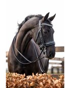 HB Luxe stang &amp; trens hoofdstel met anatomisch kopstuk en Swarovski-details One in a Million zwart/zwart glitter