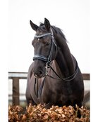 HB Luxe stang &amp; trens hoofdstel met anatomisch kopstuk en Swarovski-details One in a Million zwart/navy glitter