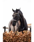 HB Luxe stang &amp; trens hoofdstel met anatomisch kopstuk en Swarovski-details One in a Million bruin/goud glitter