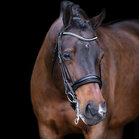 Imperial Riding Stang Trens Hoofdstel Athena