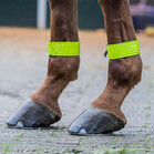 Horka Been Straps Reflecterend