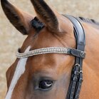 Harry&rsquo;s Horse Frontriem Clincher