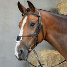 Harry&rsquo;s Horse Mexicaans Hoofdstel Anatomic