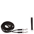 BR Slofteugel Norwich