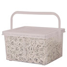 Premiere Manenelastiekjes 2500 stuks