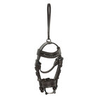 HV Polo Hoofdstelletje Legacy​​​​​​​