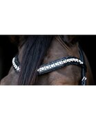 HB Showtime Frontriem To Nice