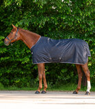 Waldhausen Regendeken Economic 200 gram