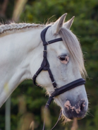 Barefoot VegiTex Contour Physio Hoofdstel