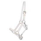 QHP Leren Veulenhalster met Clip