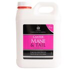 Carr &amp; Day &amp; Martin Canter Antiklit Spray