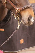 Paddock Hengstenketting Presentation