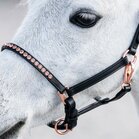 Harry's Horse leren pony/veulen halster Crystal Rosegold