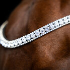 Imperial Riding frontriem Slim