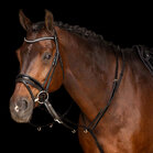 Imperial Riding Thiedeman Core