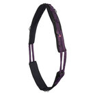 Imperial Riding longeersingel Deluxe Extra