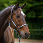 HV Polo halster Franka