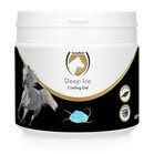 Excellent Deep Ice Cooling Gel 400 ml