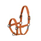 Eskadron Halster Faux Leather Jewel Double Pin Platinum 26