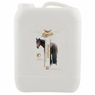 Rapide Shine Shampoo 5 Liter