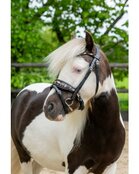 HB hoofdstel Showtime Luipaard little sizes
