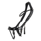 PresTeq hoofdstel FaySport Blackpearl