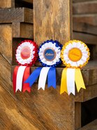 LeMieux Hobby Horse rozetten multipack