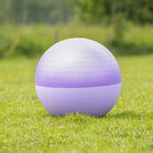 QHP paardenvoetbal two-tone