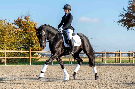 HKM zadeldek Competition