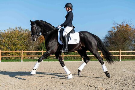 HKM zadeldek Competition