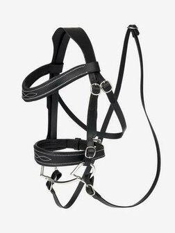 LeMieux Hobby Horse dressuur hoofdstel