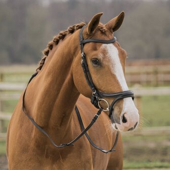 Het leren hoofdstel Kapitano is ergonomisch, volgens de anatomie van het hoofd van het paard gevormd. Het kopstuk heeft zachte 