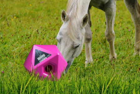 Maximus Feed &amp; Play roze
