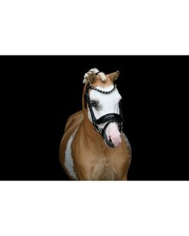 HB Showtime hoofdstel Special zwart/goud