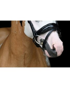 HB Showtime hoofdstel Special zwart/goud
