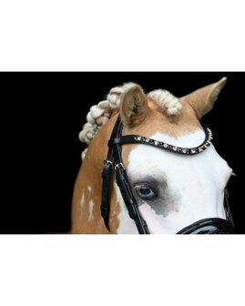 HB Showtime hoofdstel Special zwart/goud