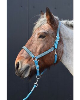 HB halster Diamonds turquoise