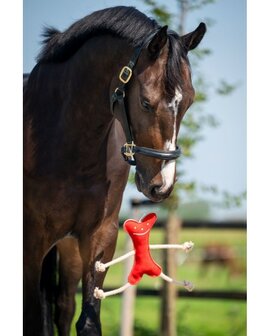 HB paardenspeelgoed Mr Roper