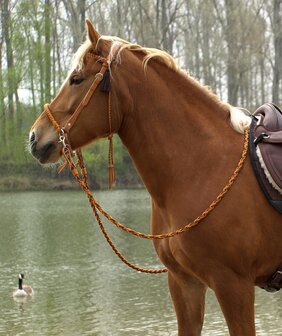 Barefoot hoofdstel sidepull Amber cognac/oranje