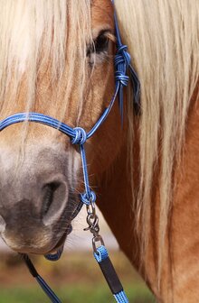 Barefoot touwhoofdstel BeGentle blauw